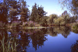 Select an image to enlarge