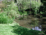 Select an image to enlarge
