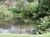 Select an image to enlarge