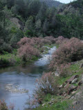 Select an image to enlarge