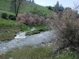 Select an image to enlarge