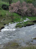 Select an image to enlarge