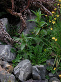 Select an image to enlarge