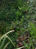 Select an image to enlarge