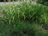 Select an image to enlarge