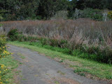 Select an image to enlarge