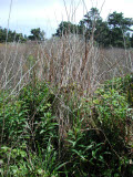 Select an image to enlarge