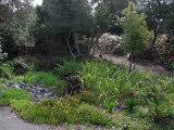 Select an image to enlarge