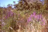 Select an image to enlarge