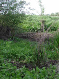 Select an image to enlarge