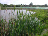 Select an image to enlarge