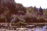 Select an image to enlarge