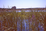 Select an image to enlarge
