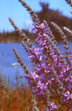 Select an image to enlarge