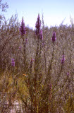 Select an image to enlarge