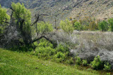 Select an image to enlarge