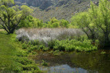 Select an image to enlarge