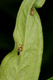 Select an image to enlarge