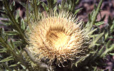 Select an image to enlarge