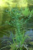 Select an image to enlarge
