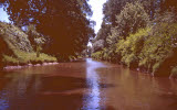 Select an image to enlarge