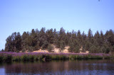 Select an image to enlarge