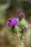 Select an image to enlarge