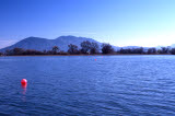 Select an image to enlarge