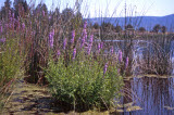 Select an image to enlarge