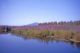 Select an image to enlarge