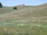 Select an image to enlarge