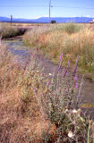Select an image to enlarge