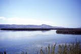 Select an image to enlarge