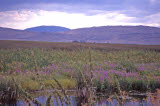 Select an image to enlarge