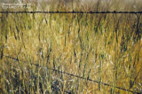 Select an image to enlarge