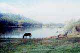 Select an image to enlarge