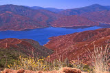 Select an image to enlarge