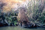 Select an image to enlarge