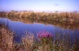 Select an image to enlarge