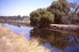 Select an image to enlarge