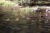 Select an image to enlarge