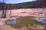 Select an image to enlarge