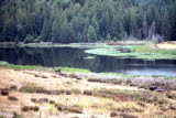 Select an image to enlarge