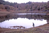 Select an image to enlarge