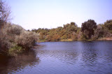 Select an image to enlarge