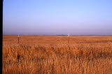 Select an image to enlarge