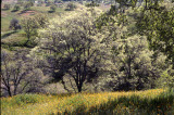 Select an image to enlarge