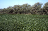 Select an image to enlarge