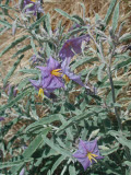 Select an image to enlarge