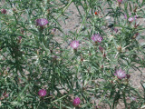 Select an image to enlarge